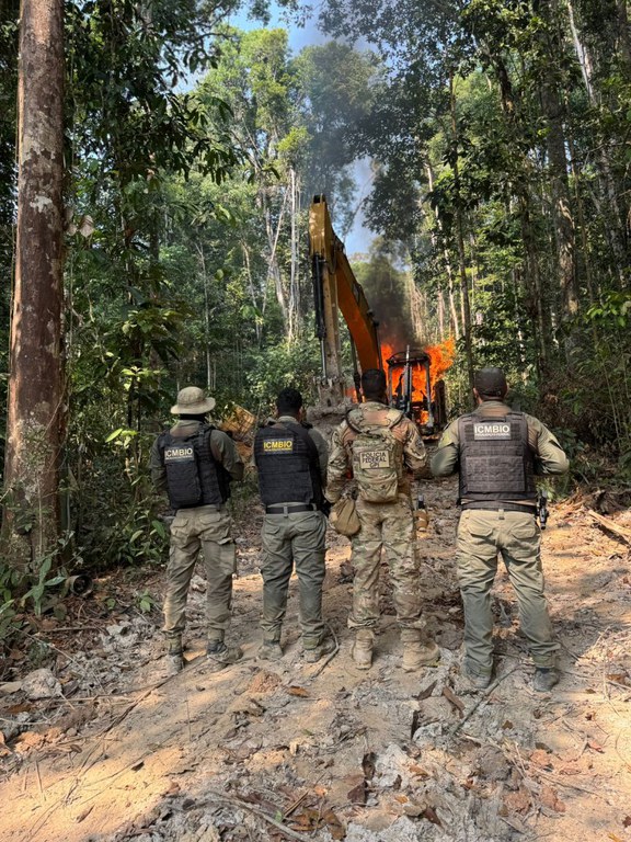 PF combate garimpo ilegal e desmatamento no Pará