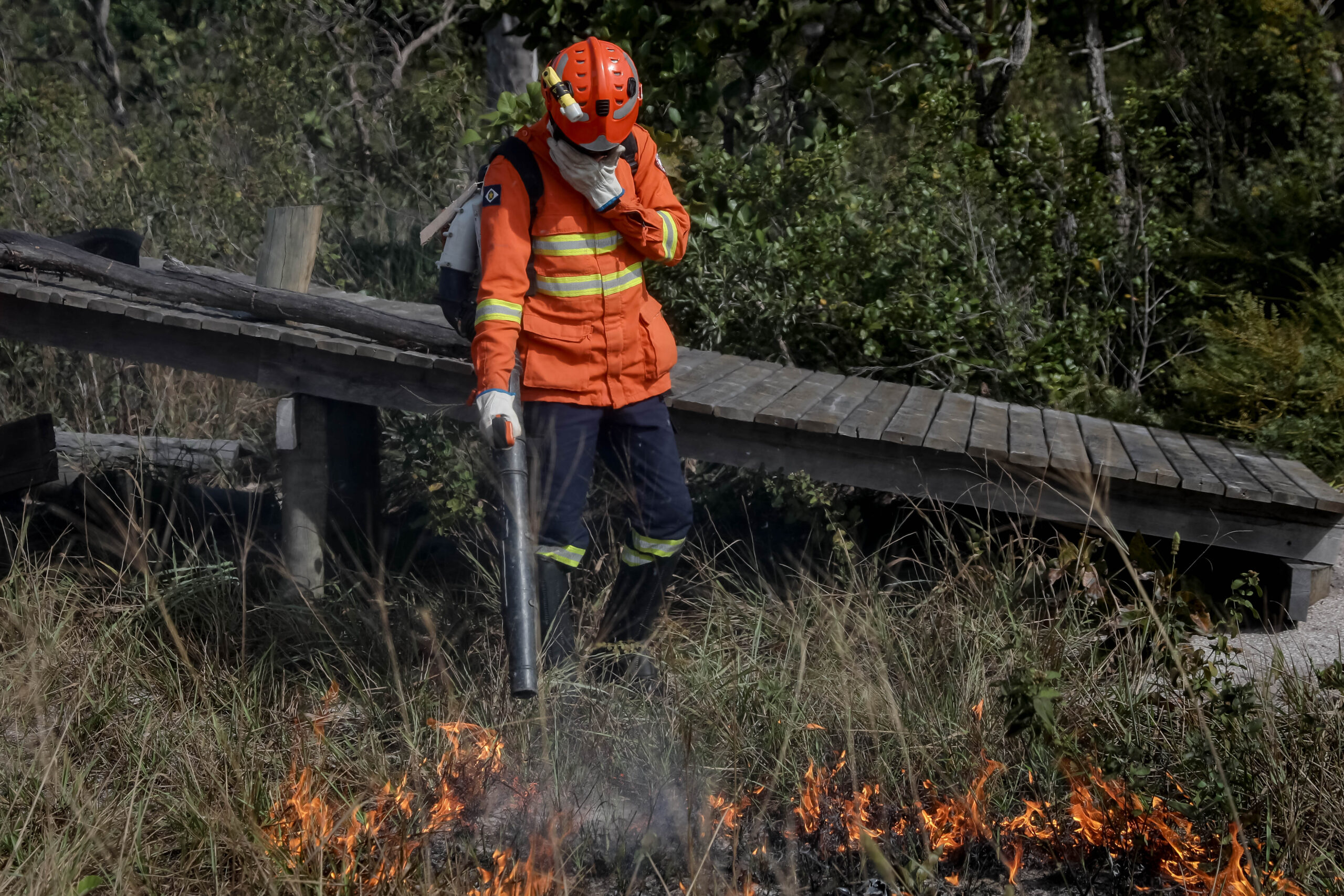 Incêndio na estada de MT