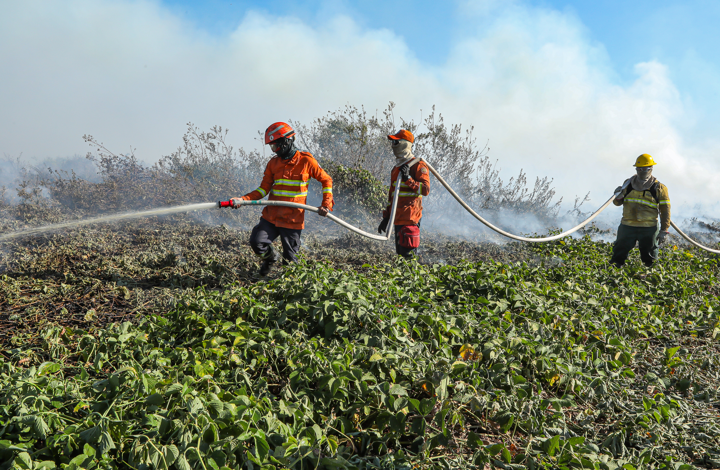 Corpo de Bombeiros de Mato Grosso registra 22 incêndios neste final de semana