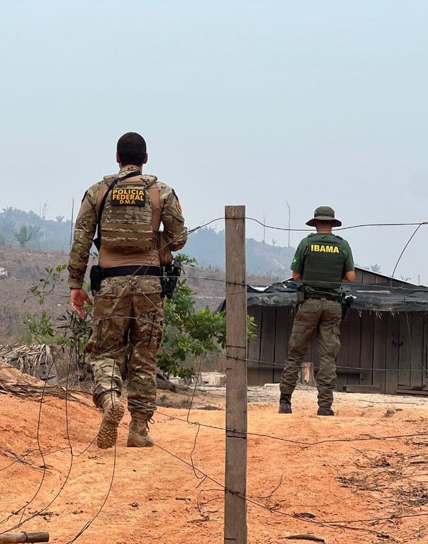 Ação conjunta deflagra operação contra o desmatamento no Amazonas