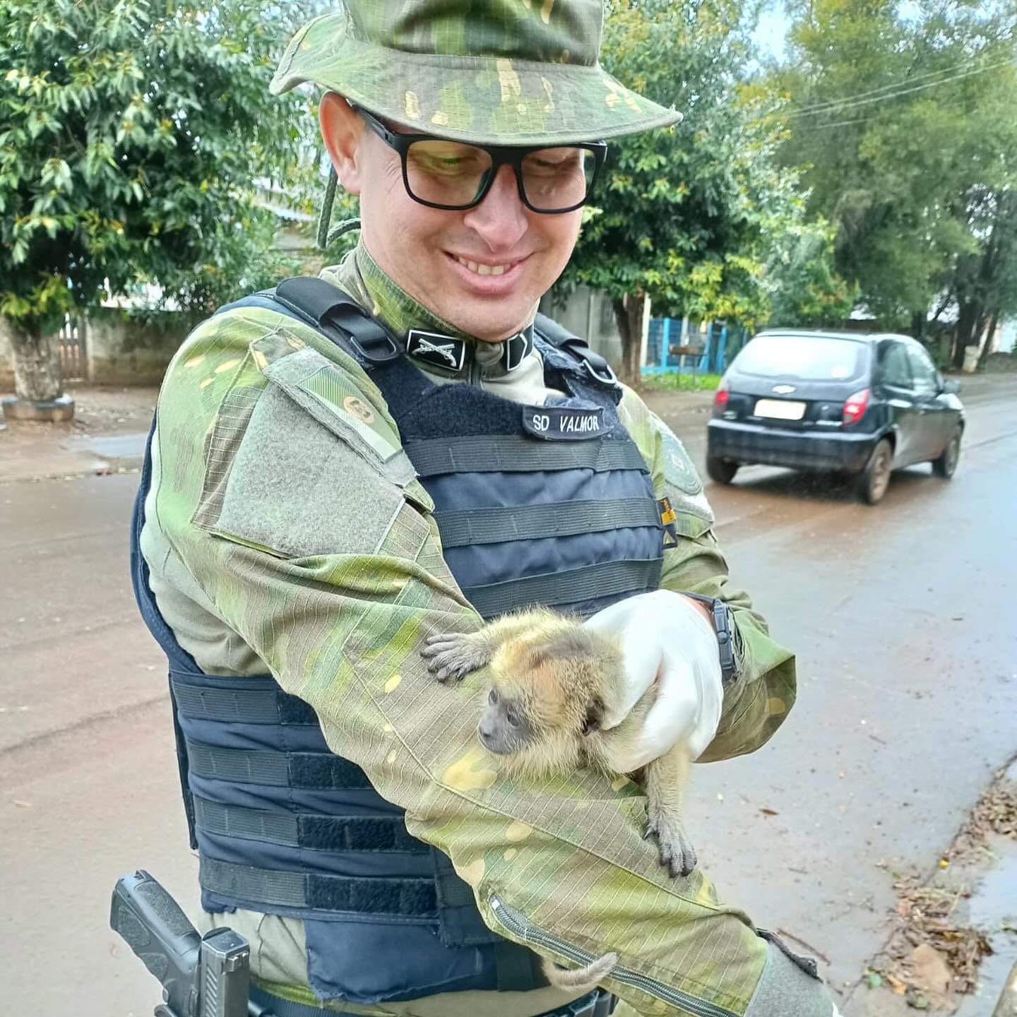 CABM-RS resgata filhote de bugio em São Borja