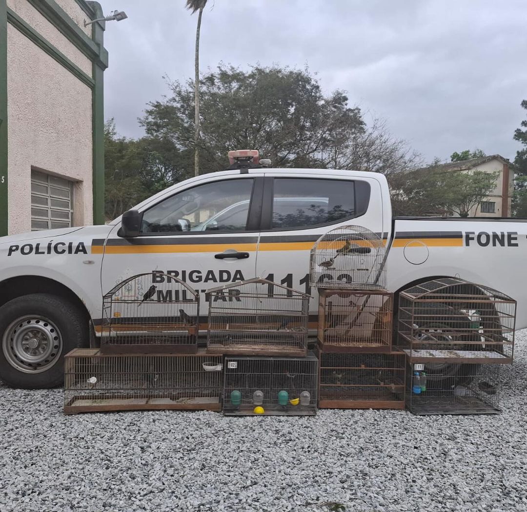 BABM resgata aves mantidas em cativeiro em Bagé-RS